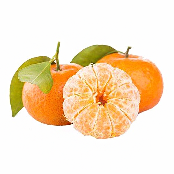 冰糖橘