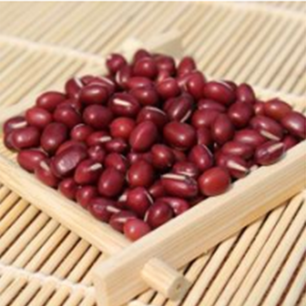 大红豆